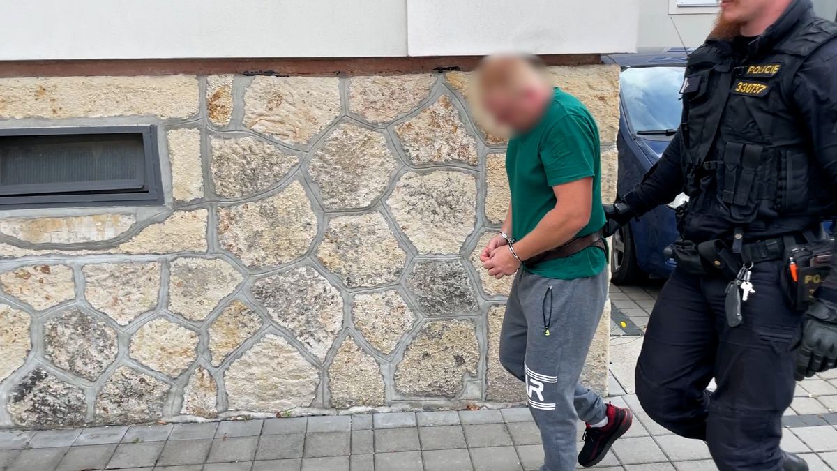 Ukrajinec měl na Plzeňsku napadnout manželku a poranit jí genitálie petardou. Jde do vazby